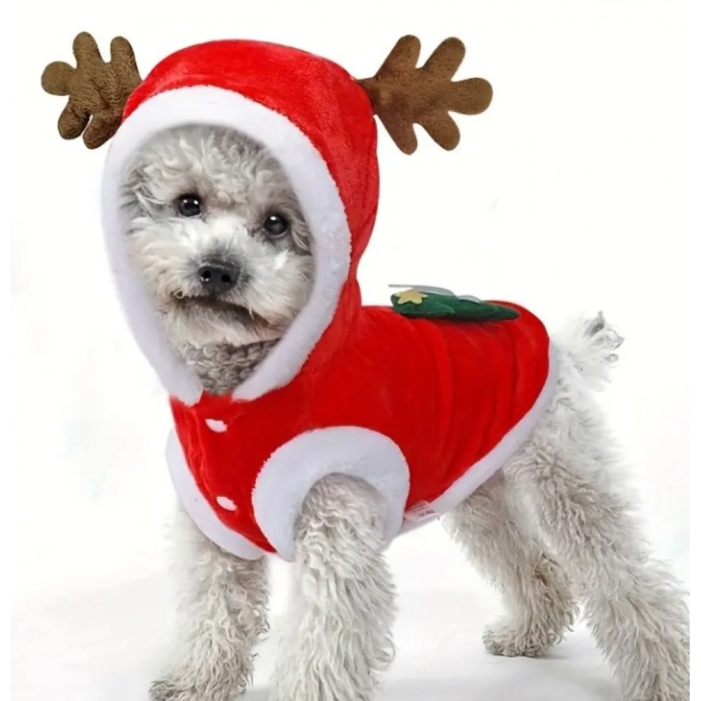 Pet's Christmas Celebration Sweater