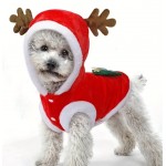 Pet's Christmas Celebration Sweater