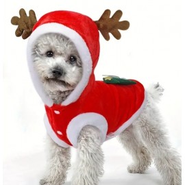 Pet's Christmas Celebration Sweater