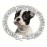 Elegant Dog and Cat Cuban Chain Luxury Pet Collar