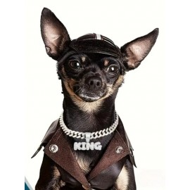 Stylish Silver Dog Chain Necklace with Pendant