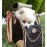 Luxury Pet Carrier Backpack