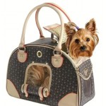 Luxury Pet Carrier Backpack