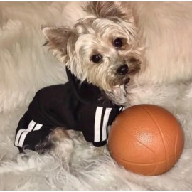 Puppy Fashionable Hoodie Jumpsuit Outfit