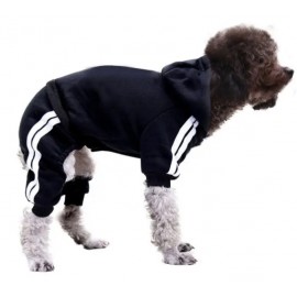 Puppy Fashionable Hoodie Jumpsuit Outfit