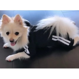Puppy Fashionable Hoodie Jumpsuit Outfit