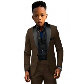 Boy's Elegant Style Two-piece Suit
