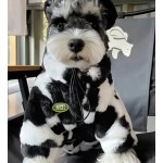 Pet's Winter Warm Zip Up Jacket